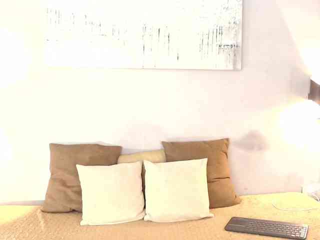 kristal-20 webcam