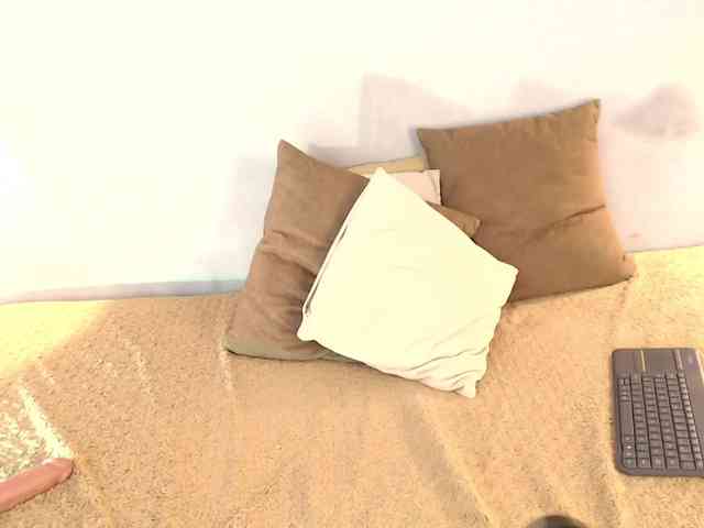 kristal-20 webcam
