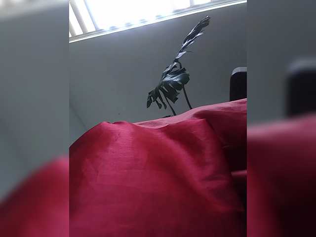 ChloeMontes's BongaCams show and profile