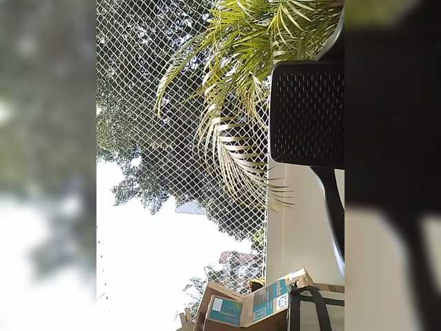 ChloeMontes's BongaCams show and profile