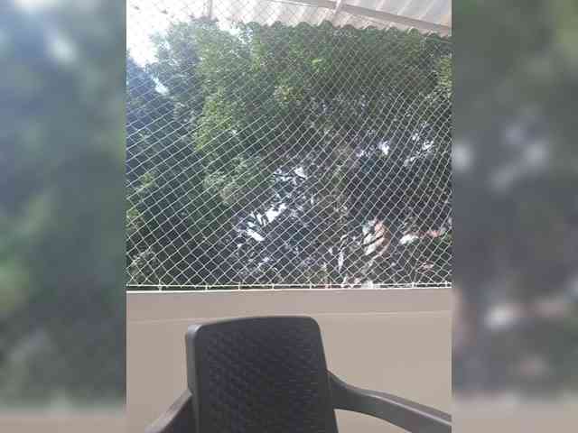 ChloeMontes ChloeMontes