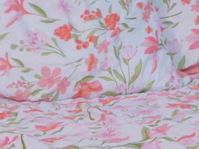 slutlittlegir slutlittlegir