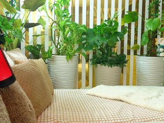 -Violettttta- Porn Show