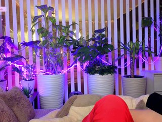 -Violettttta- Porn Show