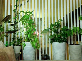 -Violettttta- Porn Show