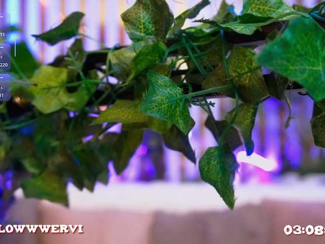 MiaLiaHot from BongaCams is Freechat