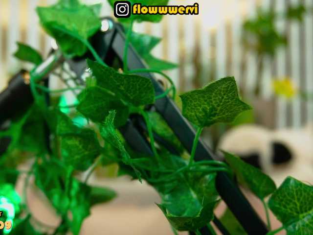 MiaLiaHot's BongaCams profile