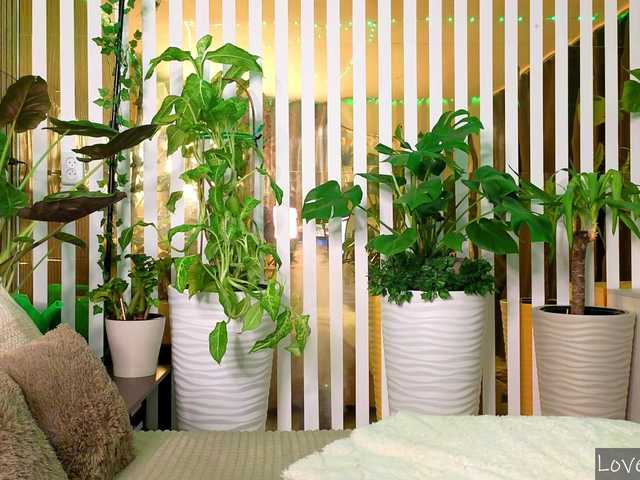 -Violettttta- webcam