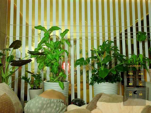 MiaLiaHot from BongaCams is Freechat