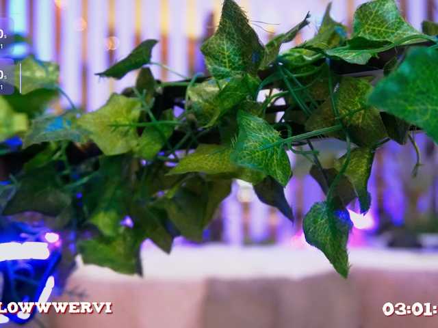 MiaLiaHot's BongaCams show and profile