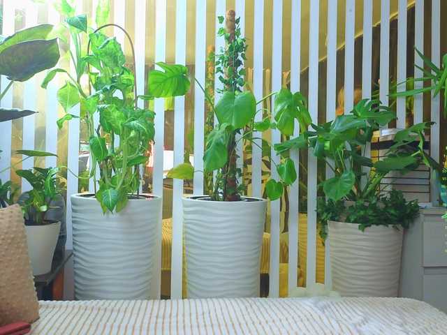 Try BongaCams's MiaLiaHot MiaLiaHot from BongaCams