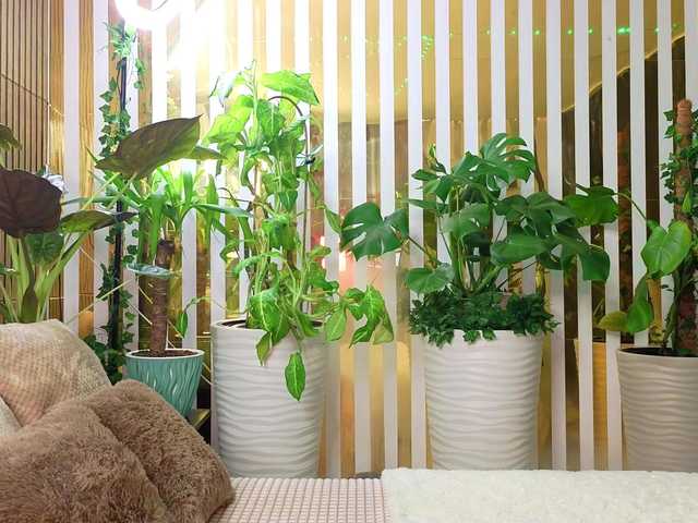 MiaLiaHot from BongaCams is Freechat