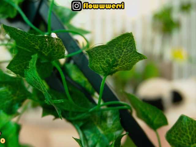 MiaLiaHot's BongaCams profile