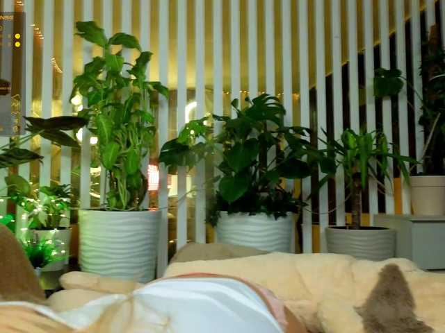 MiaLiaHot's BongaCams show and profile