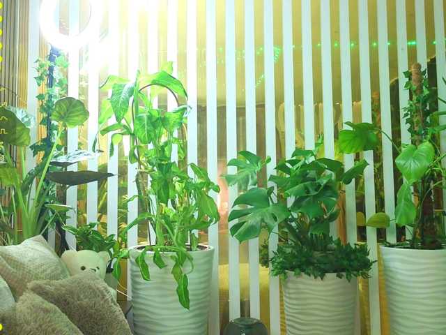 MiaLiaHot from BongaCams