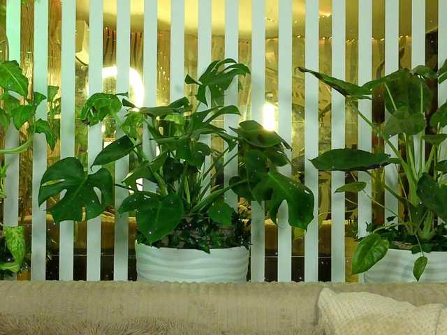 MiaLiaHot's BongaCams show and profile