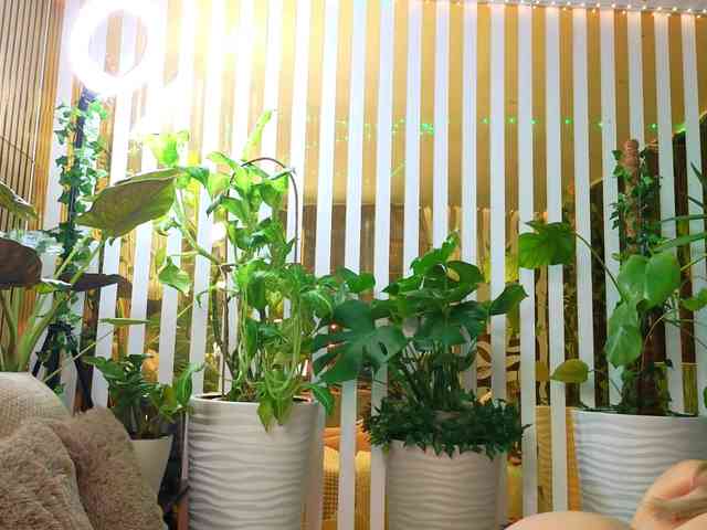 -Violettttta- webcam