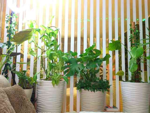 -Violettttta- webcam