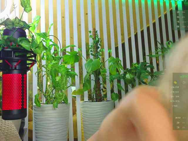 MiaLiaHot