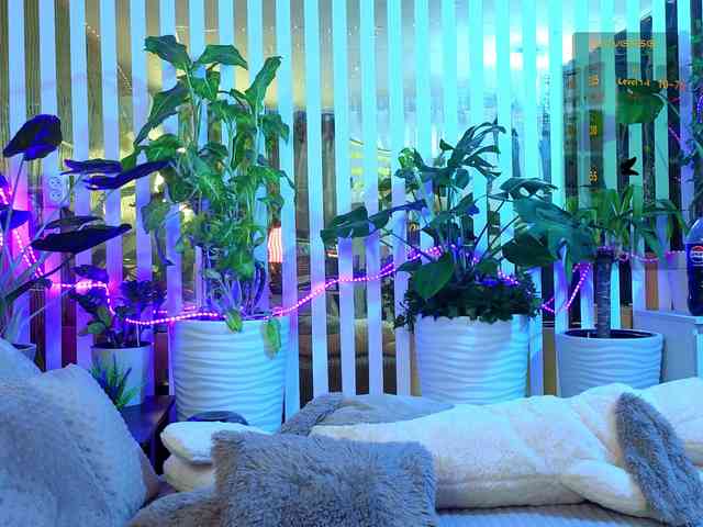 MiaLiaHot Live Webcam on BongaCams