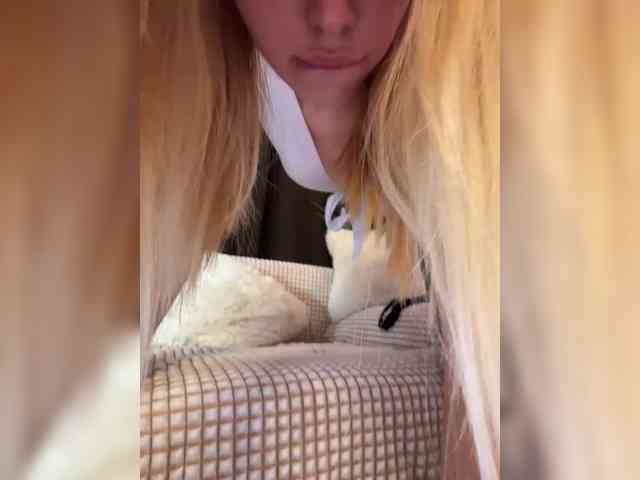 -Violetttttka- webcam