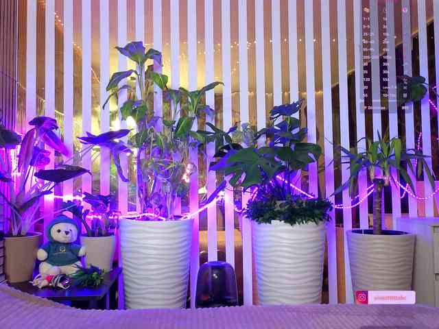 -Violettttta- webcam