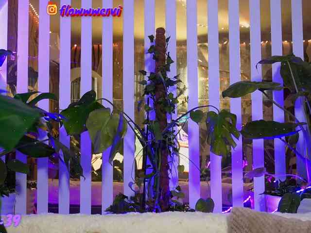FlowwwerGirl webcam