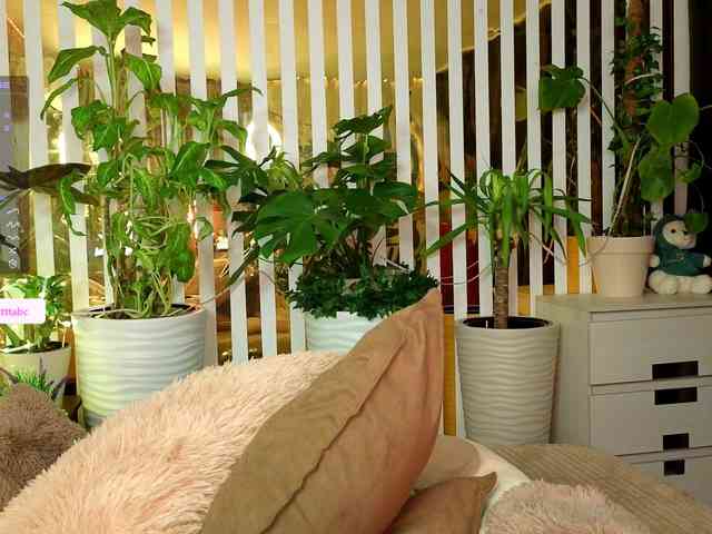 -Violettttta- webcam