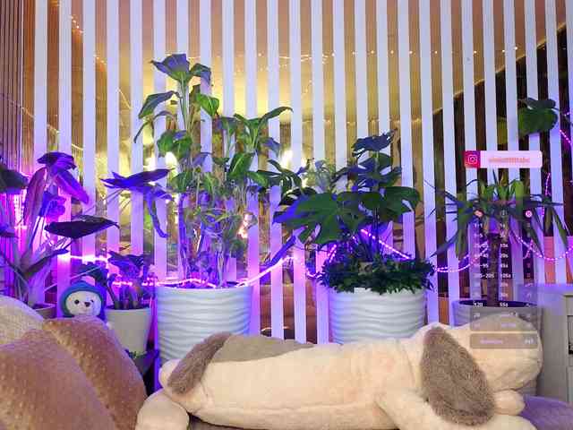 -Violettttta- webcam