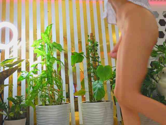 -Violettttta- webcam