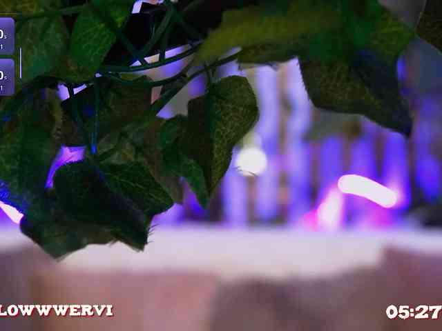 MiaLiaHot Live Webcam on BongaCams