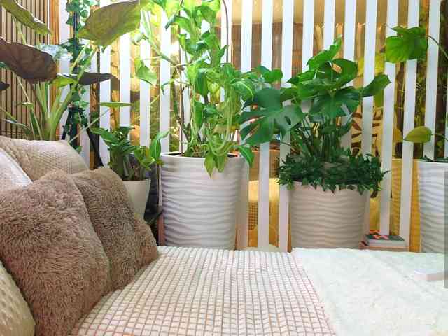 -Violettttta- webcam