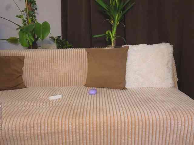 _Vi_ webcam