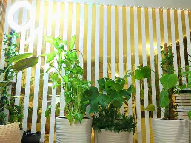 -Violettttta- webcam