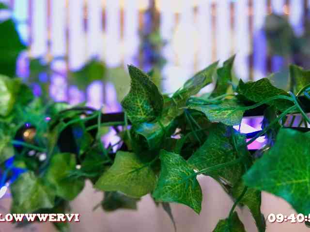 free live cam sex MiaLiaHot