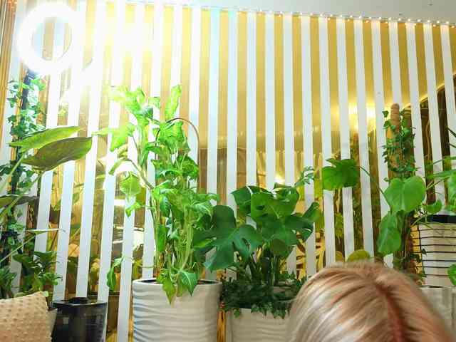 -Violettttta- webcam