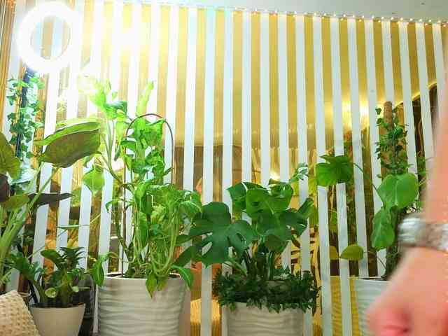 -Violettttta- webcam