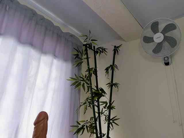 PARKERCINTHIA webcam