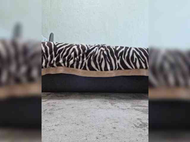 Malvina11 webcam