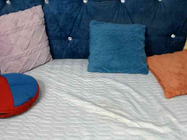 DragonFly7223 webcam