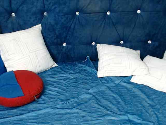 DragonFly7223 webcam