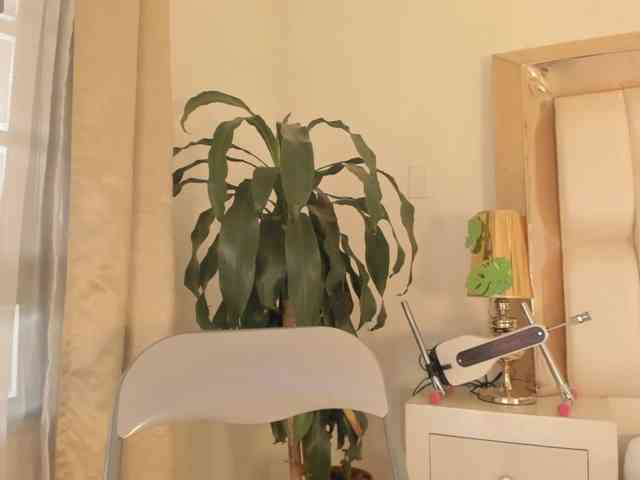 alana-then webcam
