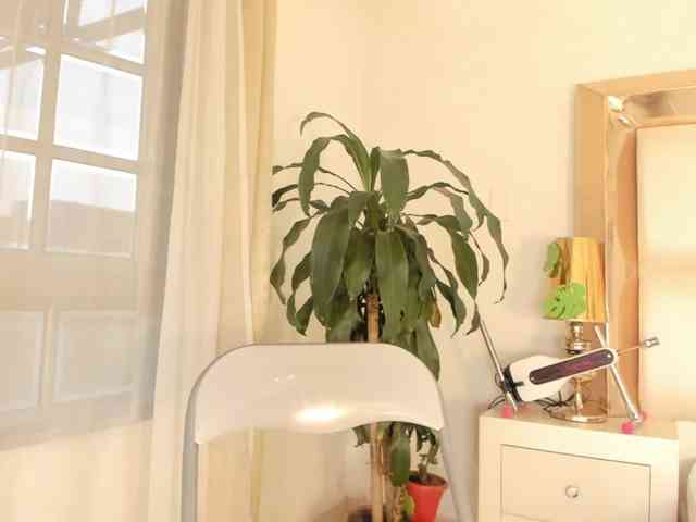 alana-then webcam