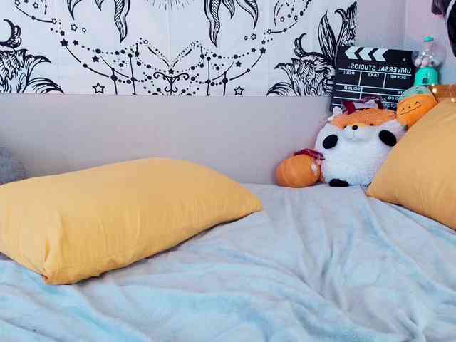 moonrabbitt webcam