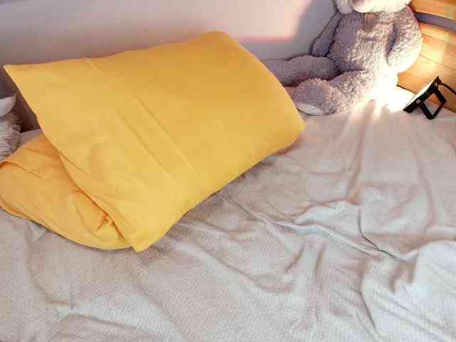 moonrabbitt webcam