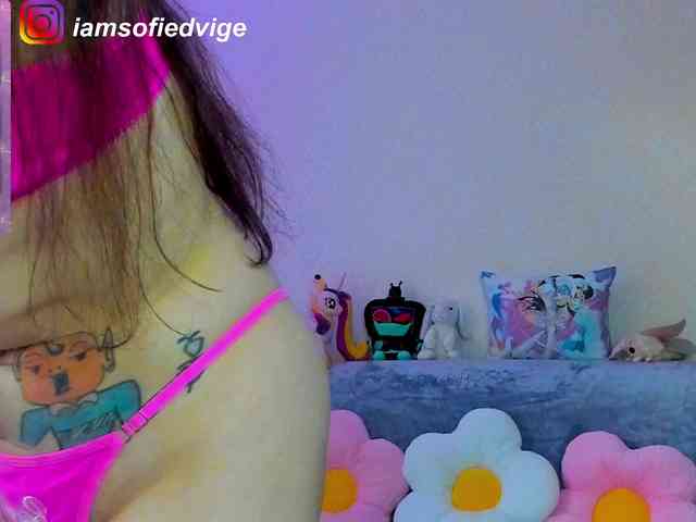 sofiedvige webcam