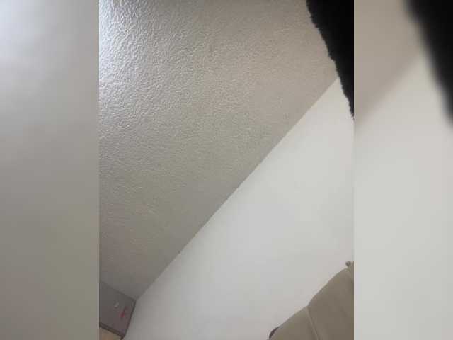 sidgy592's BongaCams show and profile