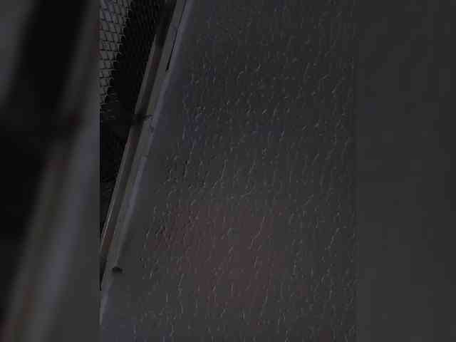 sidgy592 webcam