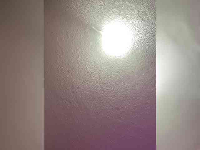sidgy592 webcam