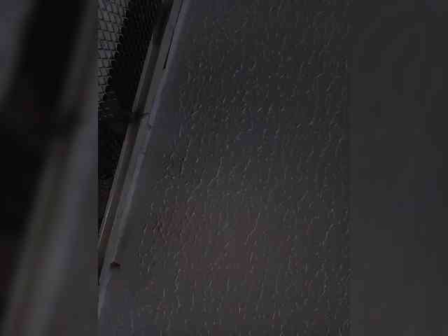 sidgy592 webcam